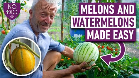 elonstube|Free Melons Tube Porn Videos